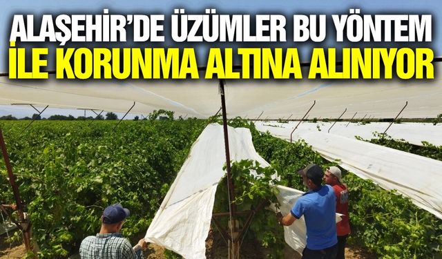 Sarıgöl çok modaydı, artık Alaşehir'de de örtülüyor