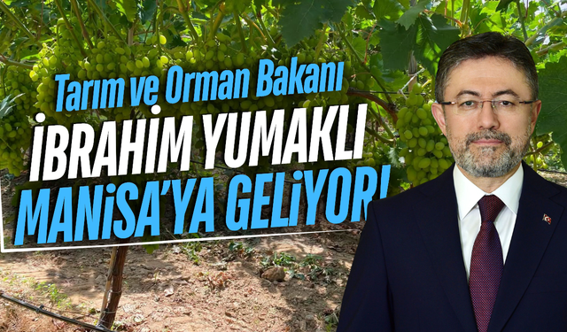 Bakan Yumaklı 'Manisa Üzüm Hasat Şenliği'ne geliyor!