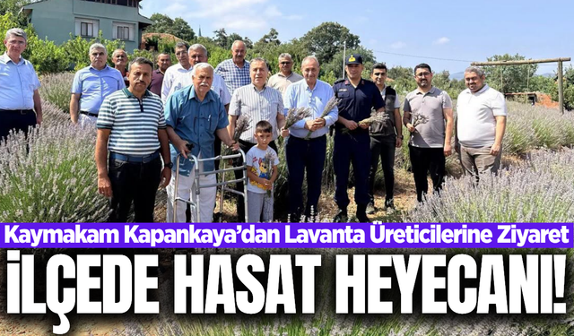 Manisa'nın ilçesinin tek lavanta bahçesinde hasat heyecanı!