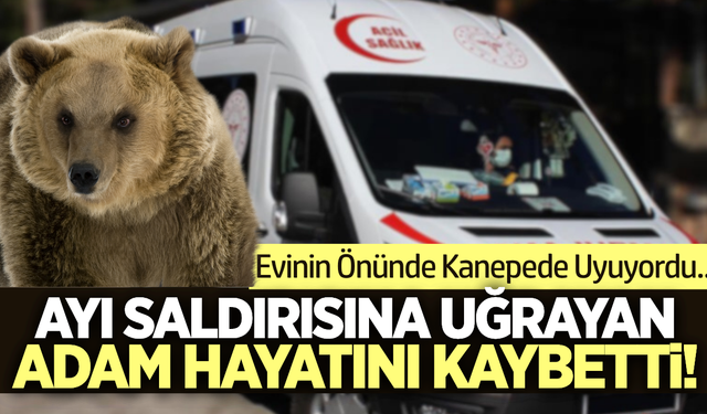 İzmir'de korkunç olay: Ayı saldırısı can aldı!