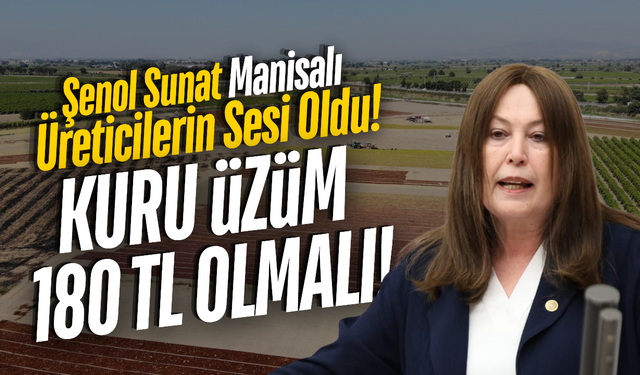 İYİ Partili Şenol Sunat: "Bağlar Sahipsiz, Üzüm Üreticisi Çaresiz"