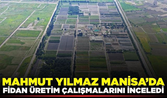 Manisa'da "Yeşil Vatan" için fidan seferberliği