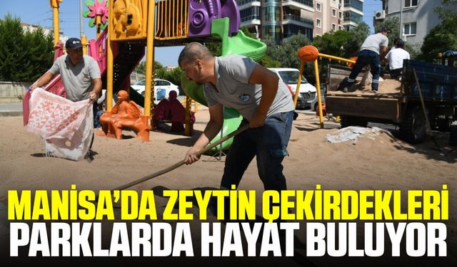 Manisa'da parklara çevreci dokunuş!