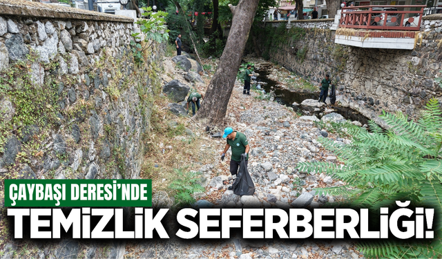 Manisa'da Çaybaşı Deresi'nde temizlik seferberliği!