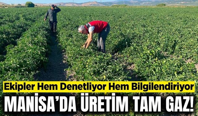 Manisa'da denetimeler sürüyor: Kavun, karpuz, sanayilik domates