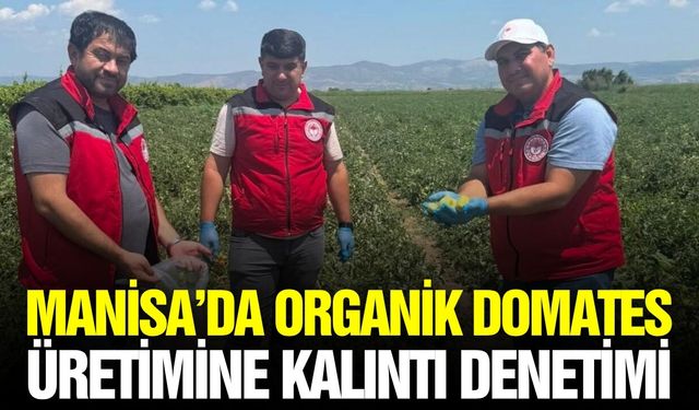 Manisa'da gıda güvenilirliğinin sağlanmasına yönelik denetim