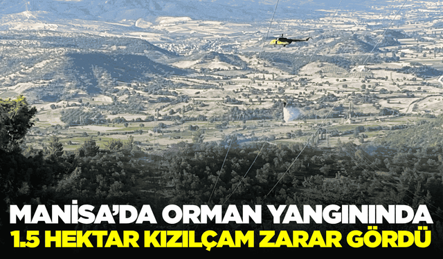 Manisa'daki Orman Yangını 3 Saatte Kontrol Altına Alındı