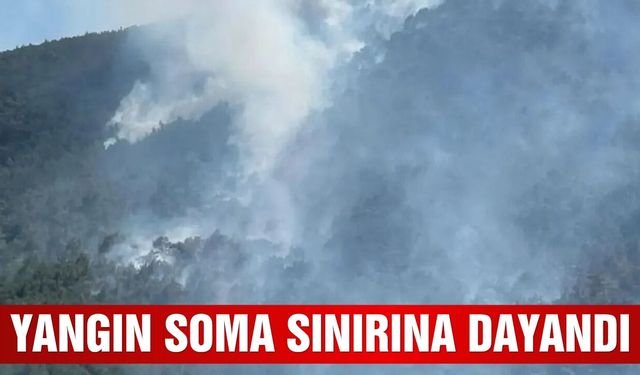 Akhisar'da Başlayan Orman Yangını Soma Sınırına Dayandı