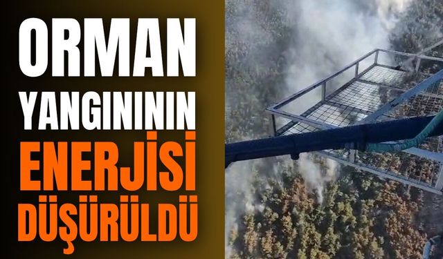 Manisa'da orman yangınına müdahale sürüyor!