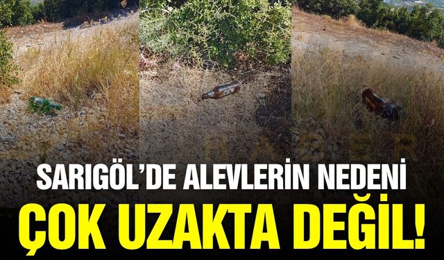 Sarıgöl'de yangın bölgesinde tepki çeken görüntü