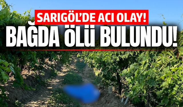 Sarıgöl'de bir kişi üzüm bağında ölü bulundu!