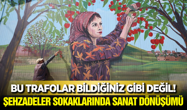 Şehzadeler'in Atıl Duvarları ve Trafoları Ressam Eliyle Hayat Buldu!