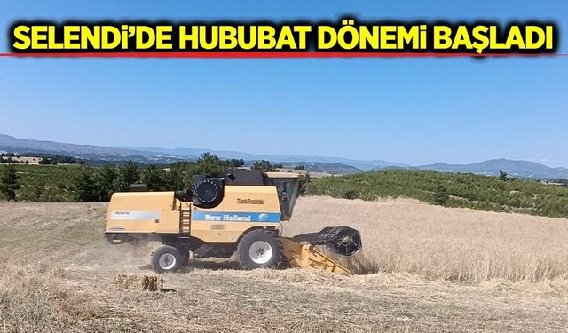 Selendi'de çiftçinin hasat mesaisi başladı