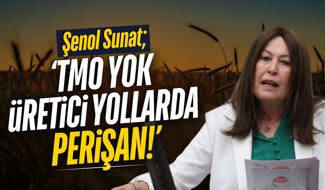 Şenol Sunat Manisa'nın sorunlarını Meclis'e taşıdı!