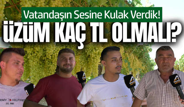 Sofralık üzüm, ıskarta üzüm, kuru üzüm: Üreticinin beklentisi ne?