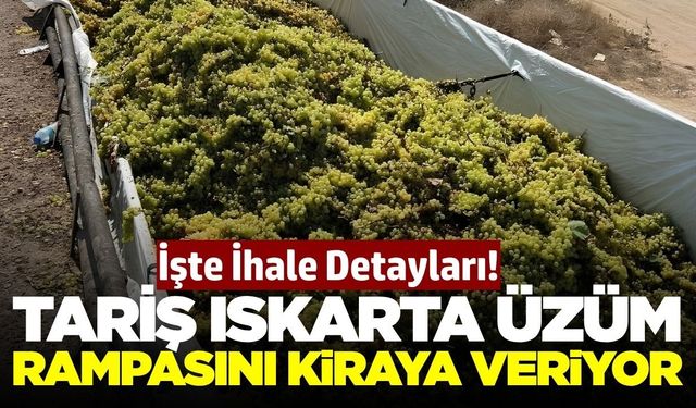 TARİŞ, Alaşehir'deki ıskartalık yaş üzüm alım rampasını kiraya verecek