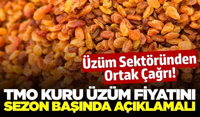 Üzüm Sektöründen Ortak Çağrı: 'TMO Sezon Başlamadan Fiyat Açıklamalı'