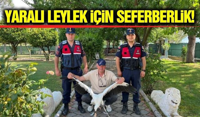 Manisa'da vatandaşın duyarlılığı yaralı leyleği hayata bağladı