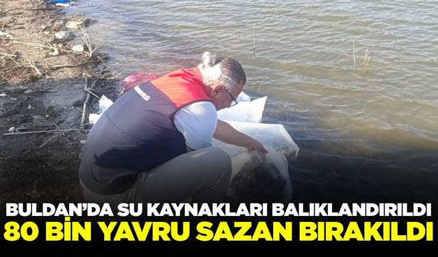 Buldan'da 80 bin yavru balık bırakıldı
