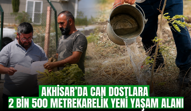 Akhisar’da sokak hayvanlarına 2 bin 500 metrekarelik yeni alan