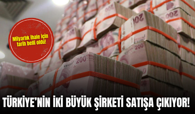 Türkiye’nin iki büyük şirketi ihaleye çıkıyor