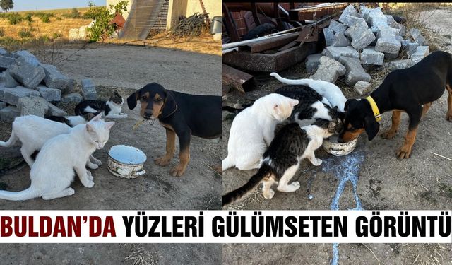 Buldan'da yürek ısıtan görüntü