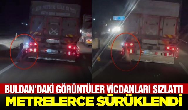 Buldan'daki görüntüler bu kadarına da pes dedirtti!
