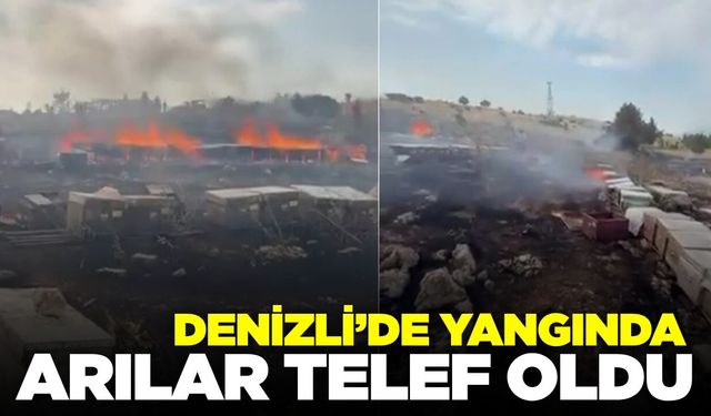 Denizli’de yangın: Arılar telef oldu