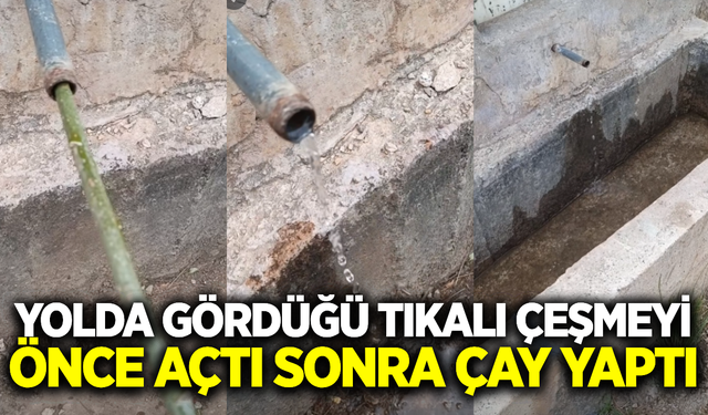 Doğa kaşifinden örnek davranış