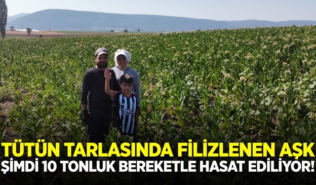 Ege'nin bereketli topraklarında tanışıp evlendiler, şimdi ailece üretiyorlar