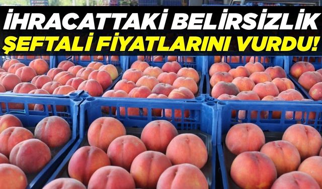 Denizli'de ihracattaki belirsizlik fiyatları alt üst etti: 15 TL'ye geriledi