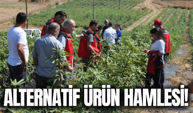 İlçede alternatif ürün hamlesi!
