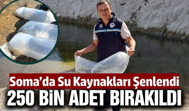 İlçedeki baraj ve göletlere 250 bin sazan yavrusu bırakıldı