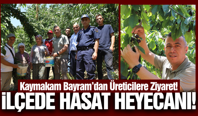 İlçenin kırmızı altınında hasat heyecanı!
