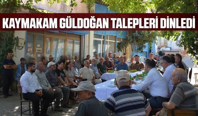 Kaymakam Güldoğan, talepleri yerinde dinledi