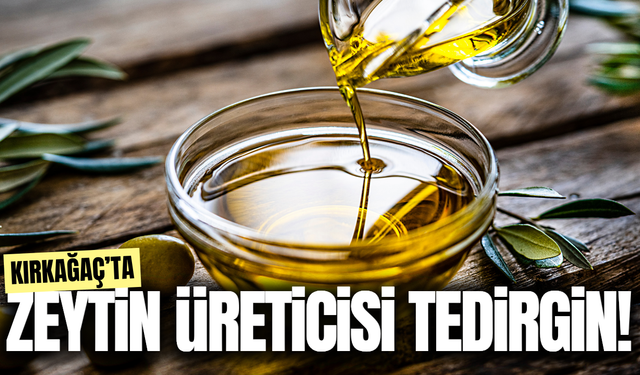 Kırkağaç Ziraat Odası’ndan ABD’ye "Zeytinyağı Vergisi" Tepkisi