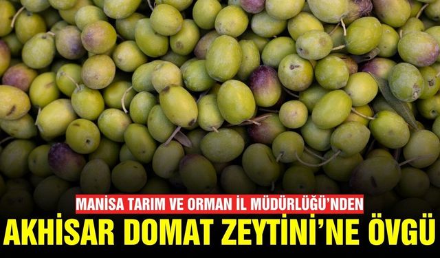 Müdürlükten Manisa'nın sofralık zeytinine övgü!