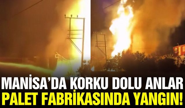 Manisa'da palet fabrikasında yangın