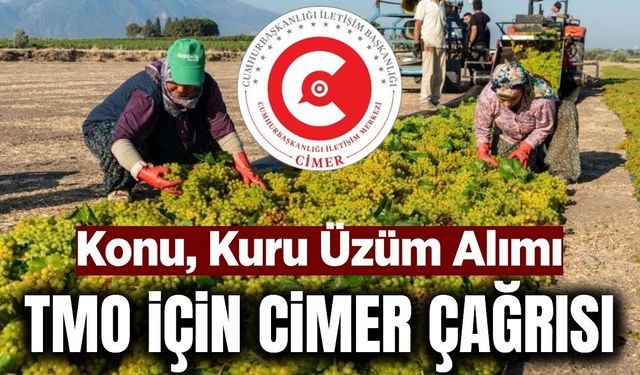 Manisa’da üzüm üreticisinin gözü TMO’da: Sektörden CİMER çağrısı