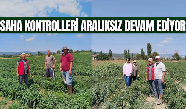Manisa'da zeytin ve sebze alanları mercek altında!