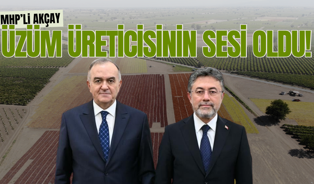 Manisalı üzüm üreticilerinin talepleri Ankara gündeminde!