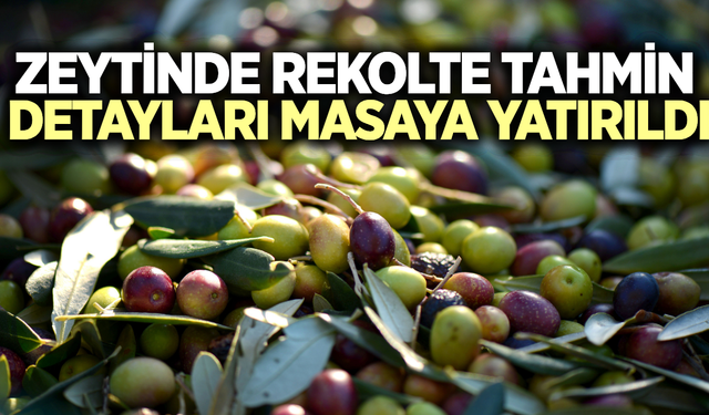 Manisa'nın 17 ilçesinde zeytinde rekolte seferberliği