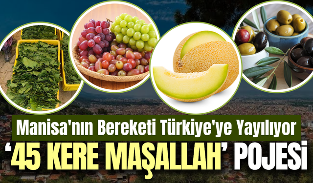 Manisa’nın 45 değeri Dünyaya tanıtılıyor
