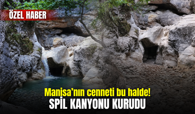 Manisa'nın Saklı Kanyon'u kurudu!