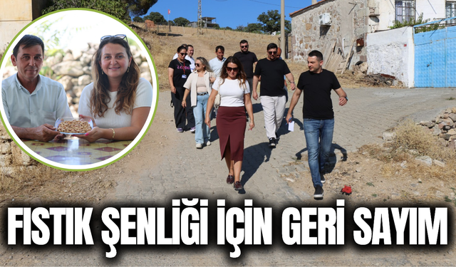 Manisa'da Fıstık Şenliği için hazırlıklar hızlandı!