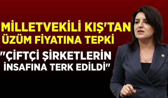 Milletvekili Kış'tan AK Parti'ye tepki: 'Bağını sök, toprağını terk et' diyorlar