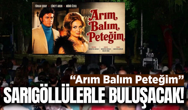 Sarıgöl'de Açık Hava Sinema Keyfi!