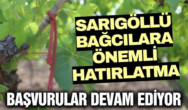 Sarıgöl'de üzüm üreticilerine duyuru: Destekleme başvuruları sürüyor