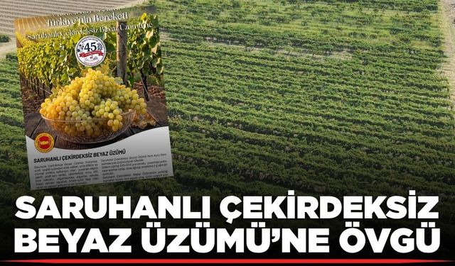 İl Müdürlüğünden Saruhanlı Çekirdeksiz Beyaz Üzümü’ne övgü