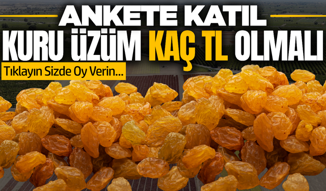 Sizce kuru üzüm kaç TL olmalı?